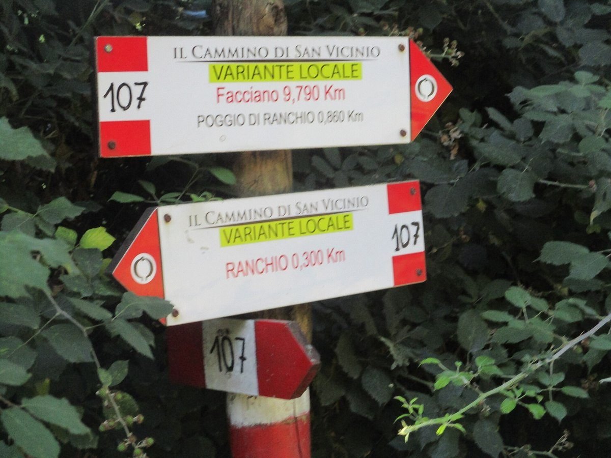 Il sentiero verso il paese